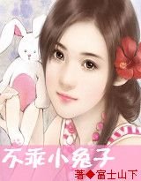 先有后婚:不乖小兔子