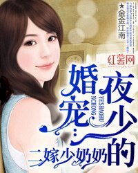 夜少的婚宠:二嫁少奶奶
