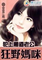 犯上黑道老公:索爱狂野妈咪