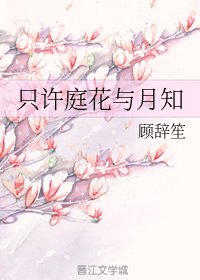 只許庭花與月知