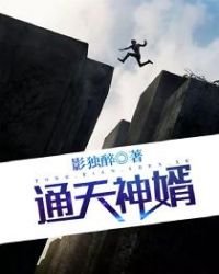 《通天神婿》