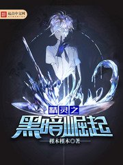 《精靈之黑暗崛起》