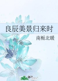 《良辰美景歸來時》