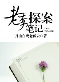 老李探案笔记