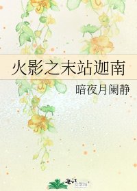 《火影之末站迦南》