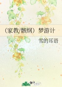 (家教/骸綱)夢遊計