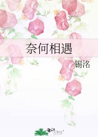 奈何相遇