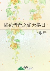 陆花传奇之偷天换日