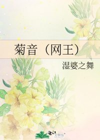 《菊音(網王)》