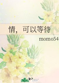《情,可以等待》