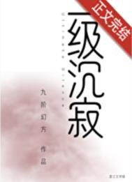一级沉济