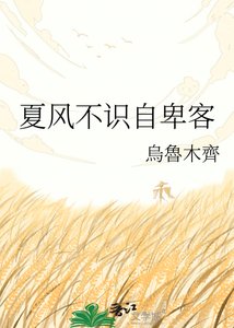 夏風不識自卑客