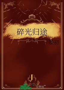 《碎光归途》