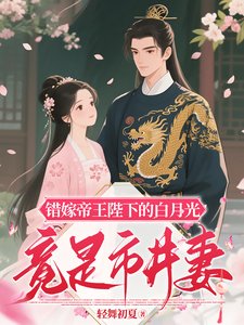 《錯嫁帝王陛下的白月光竟是市井妻》
