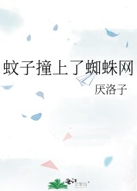 蚊子撞上了蜘蛛網