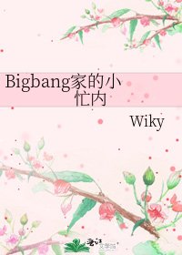 《Bigbang家的小忙內》