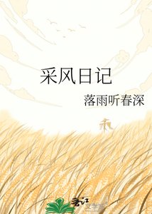 《采风日记》