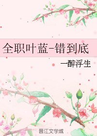 (BL/全职同人)全职叶蓝-错到底