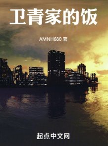 卫青家的饭