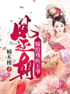 凤还朝,嫁给残疾王爷