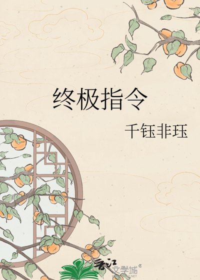 终极指令